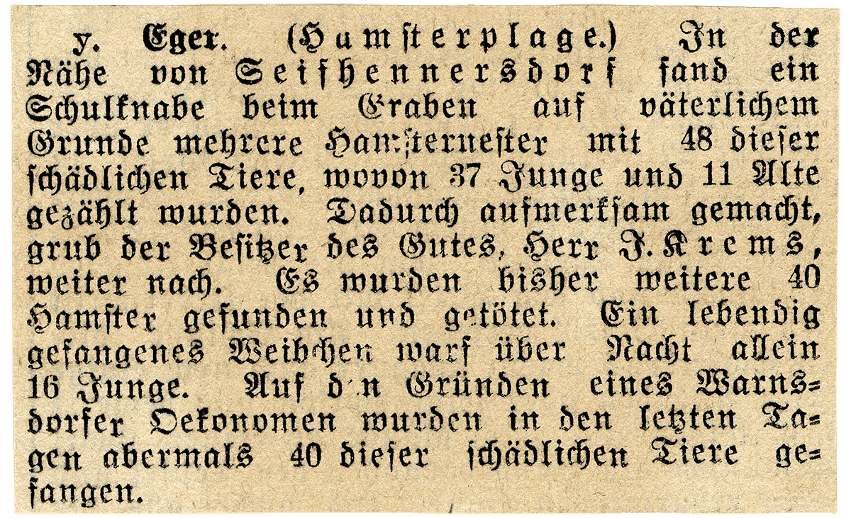 Hamsterplage. | Foto: Neue Vogtländische Zeitung