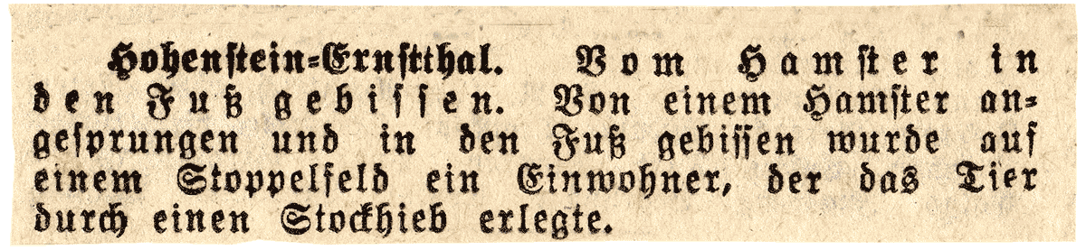 Vom Hamster in den Fuß gebissen. | Quelle: --