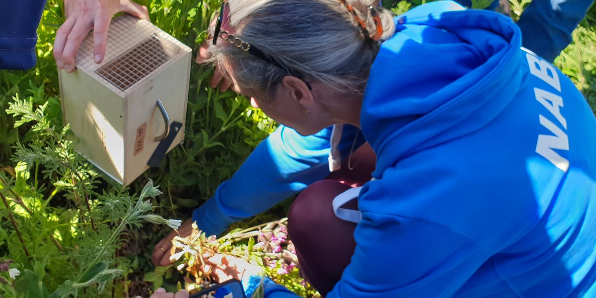 Die Landesvorsitzende des NABU Sachsen bei der ersten Auswilderung. | Foto: Ina Ebert