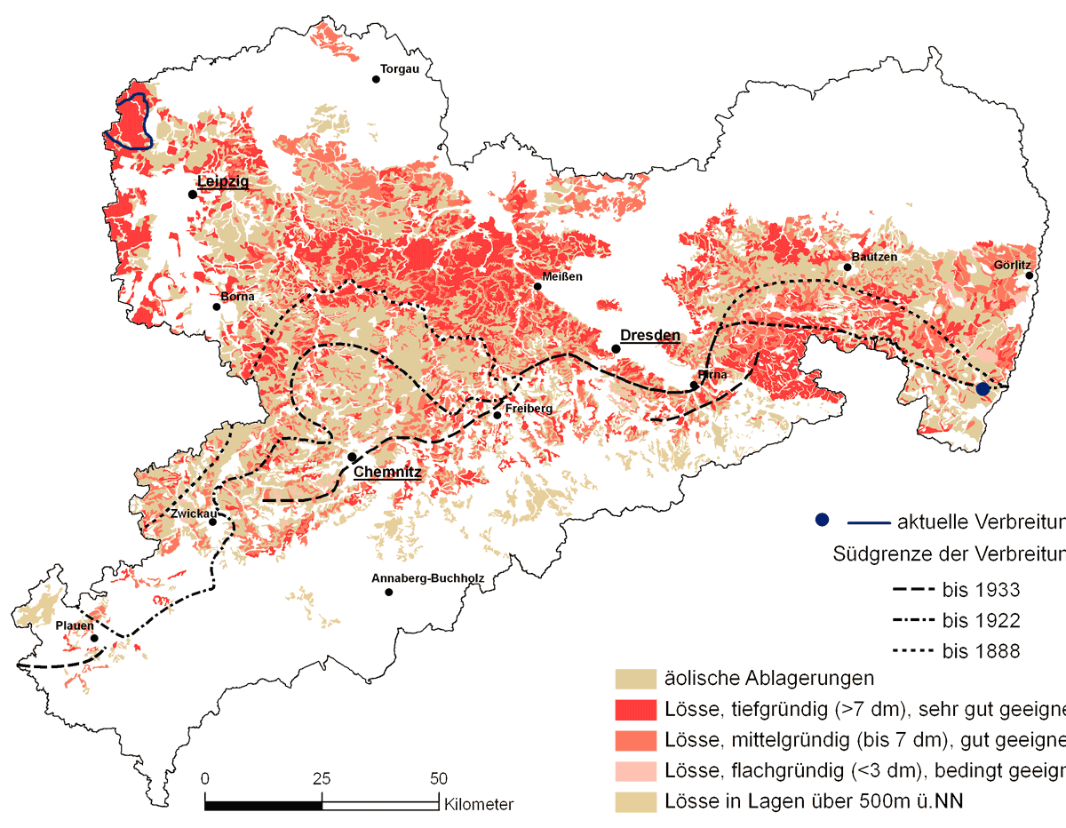 Habitateignung/Verbreitung bis 1933. | Karte: LfULG (Hrsg., 2009)