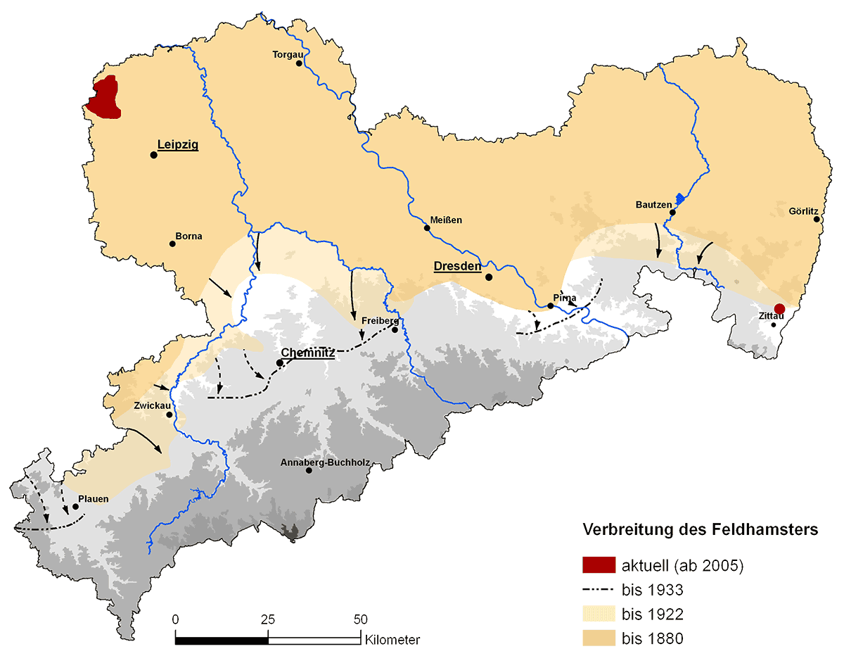Verbreitung des Feldhamsters in Sachsen. | Karte: Zimmermann, LfULG (Hrsg., 2009)